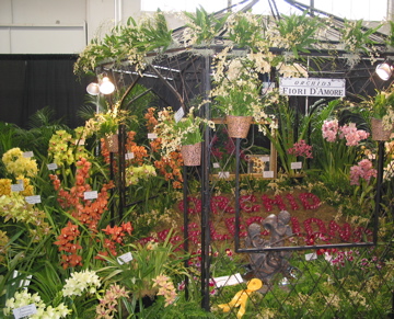 Orchid display at San Francisco Show